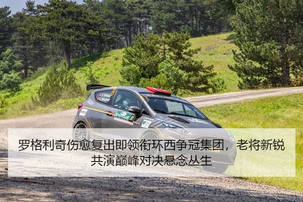 luo-ge-li-qi-shang-yu-fu-chu-ji-ling-xian-huan-xi-zheng-guan-ji-tuan-lao-jiang-xin-rui-gong-yan-dian-feng-dui-jue-xuan-2-579.jpg